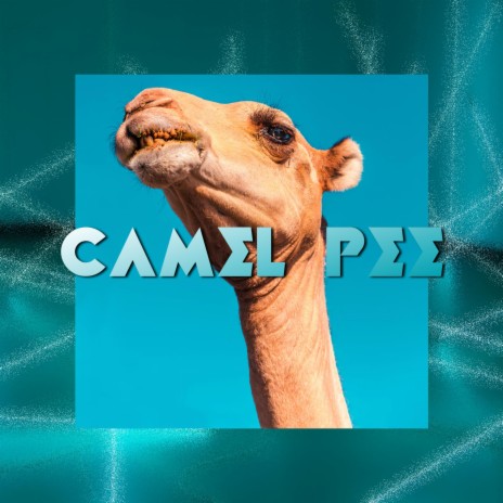 Camel Pee | Boomplay Music