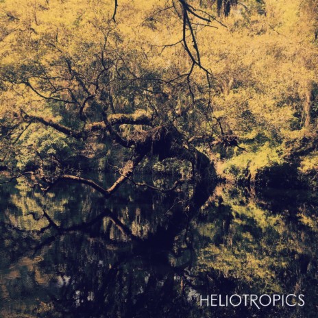 Heliotropics | Boomplay Music