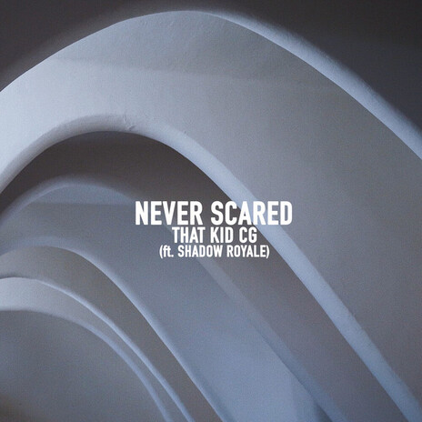 Never Scared ft. Shadow Royale | Boomplay Music