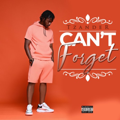 Cant Forget | Boomplay Music