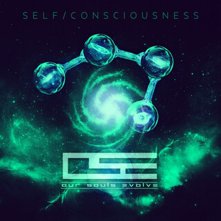 Self/Consciousness