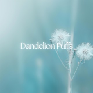 Dandelion Puffs