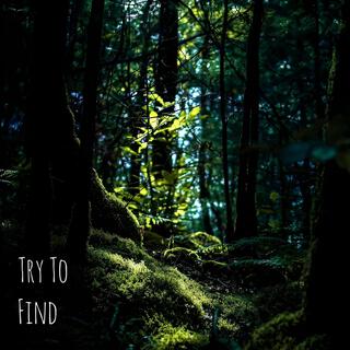 Try To Find