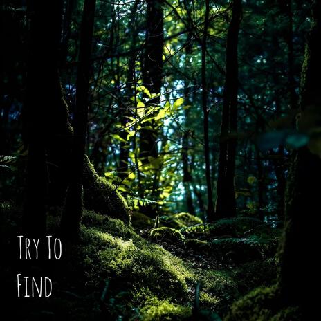 Try To Find | Boomplay Music