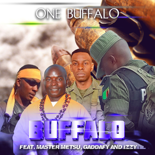 One Buffalo