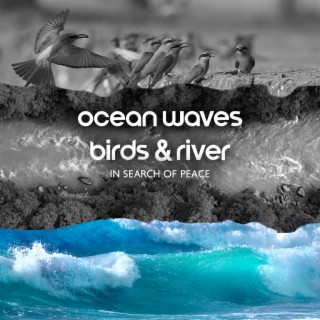 Ocean Waves, Birds & River: In Search of Peace (Nature Relaxing Sounds)