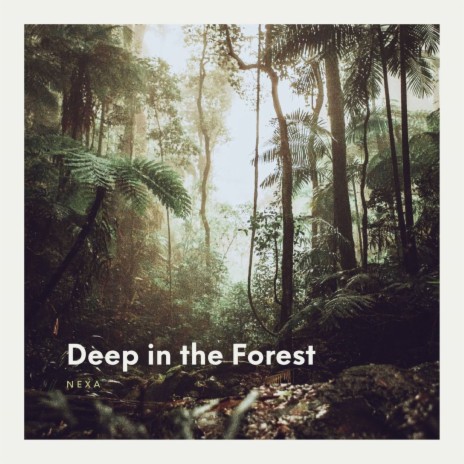 Deep in the Forest | Boomplay Music