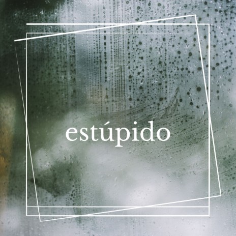 estúpido | Boomplay Music