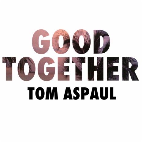 Good Together (Toyboy & Robin Remix)