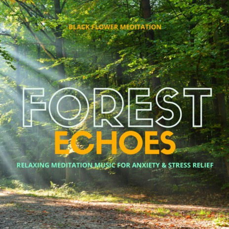 Forest Echoes (Relaxing Meditation Music For Anxiety & Stress Relief) | Boomplay Music
