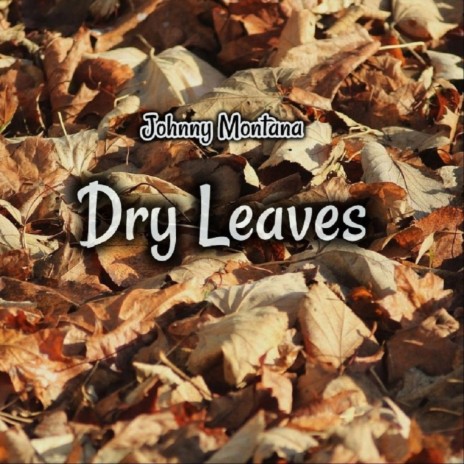 Dry Leaves | Boomplay Music