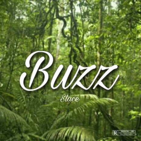 Buzz | Boomplay Music