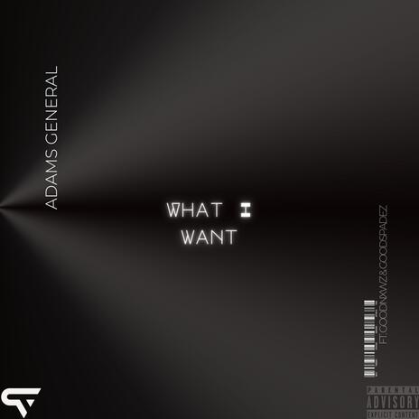 What I Want ft. GoodNxws & GoodSpadez | Boomplay Music