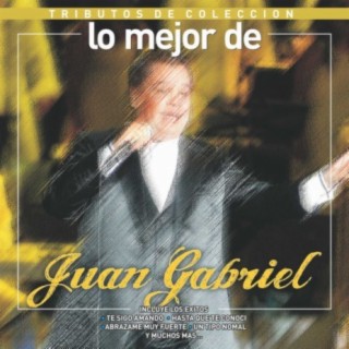Tributos de Colección / Lo Mejor de Juan Gabriel