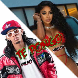 Te Pongo ft. Yailin la Mas Viral lyrics | Boomplay Music