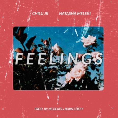 Feelings ft. Natasha Meleki | Boomplay Music