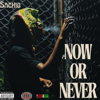 Now or Never | Mixtape