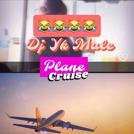 Plane Cruise