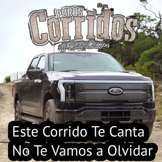 Este corrido te canta no te vamos a olvidar