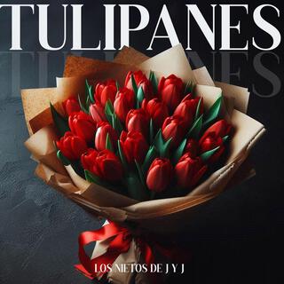 Tulipanes