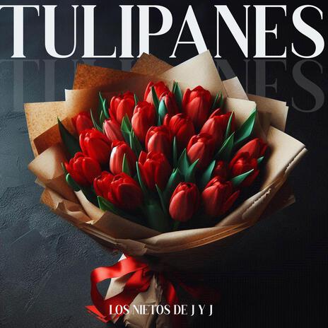 Tulipanes | Boomplay Music