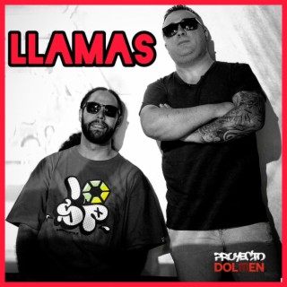 PROYECTO DOLMEN - LLAMAS