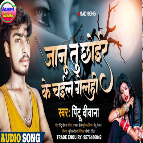 Janu Tu Chhoair Ke Chail Gelhi (Maithili) | Boomplay Music