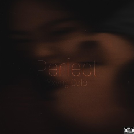 Perfect | Boomplay Music