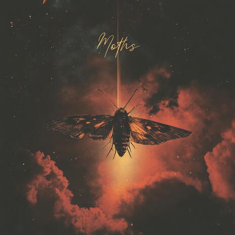 Moths | Boomplay Music