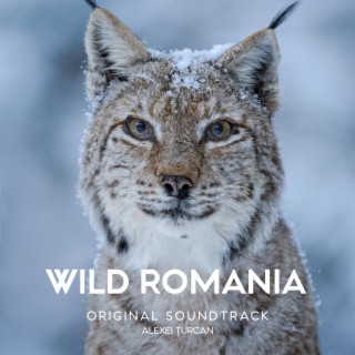 Wild Romania (Original Soundtrack)