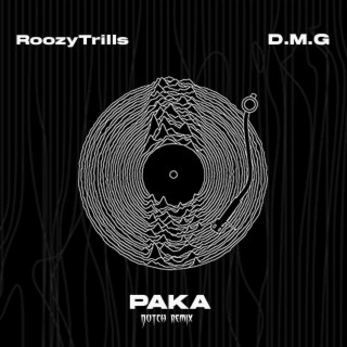 Paka (D.M.G Remix) ft. D.M.G lyrics | Boomplay Music