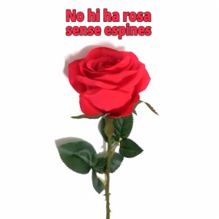 No hi ha rosa sense espines