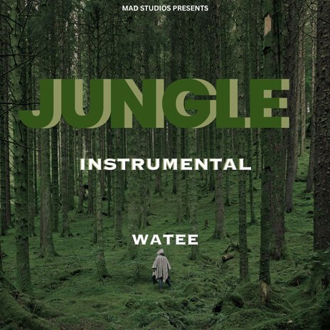 Jungle Instrumental ft. Watee