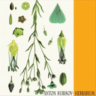 Herbarium Part One