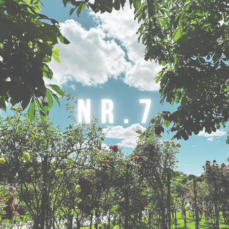 Nr. 7 ft. Poviolinist | Boomplay Music