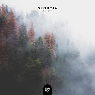 Sequoia