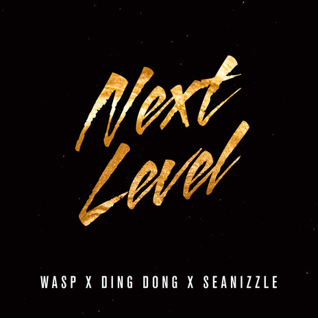 Next Level ft. Wasp & Seanizzle | Boomplay Music