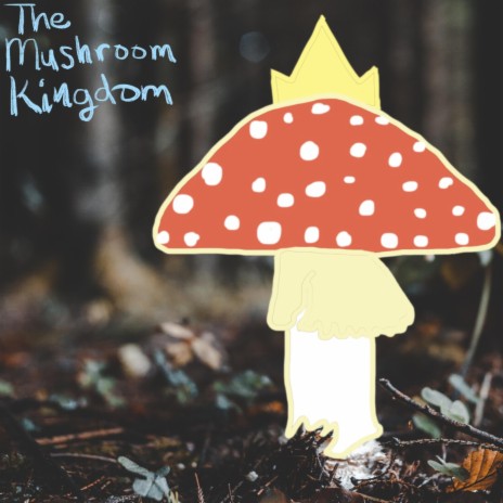 The Mushroom Kingdom | Boomplay Music