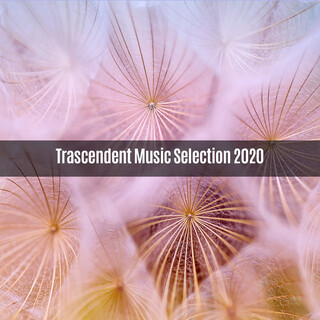 TRASCENDENT MUSIC SELECTION 2020