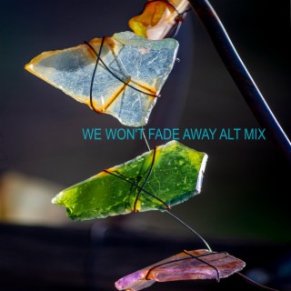 We Won't Fade Away (ALT MIX VERSION)