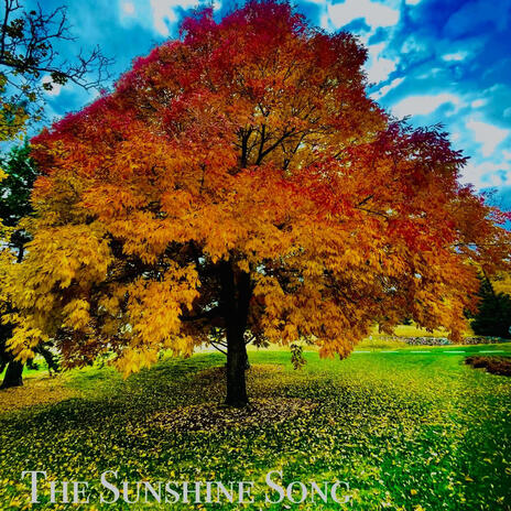 The Sunshine Song | Boomplay Music