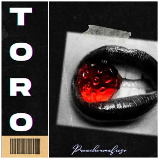 Toro lyrics | Boomplay Music