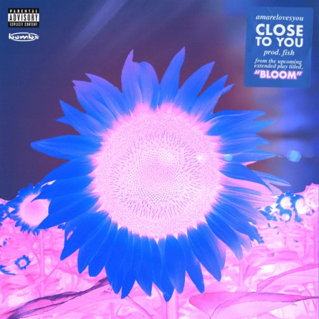 CLOSE TO YOU | Boomplay Music