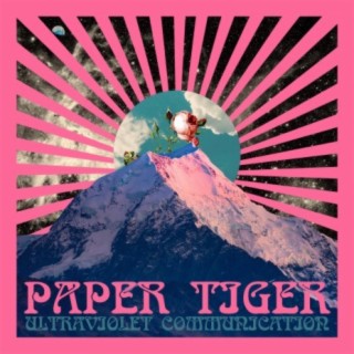 Paper Tiger