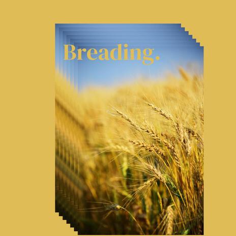 Breading | Boomplay Music