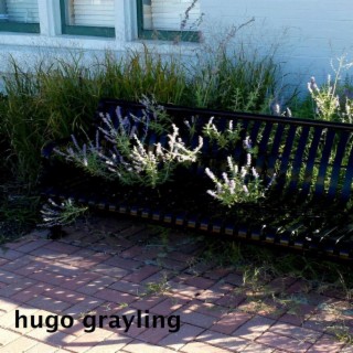 Hugo Grayling