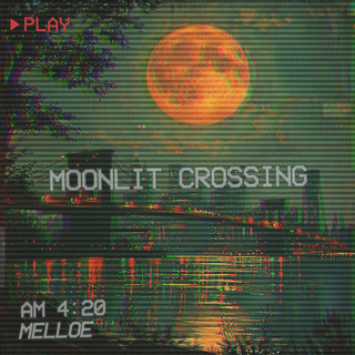 Moonlit Crossing