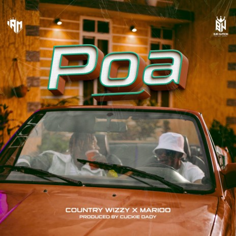Poa (Radio Edit) ft. Marioo | Boomplay Music