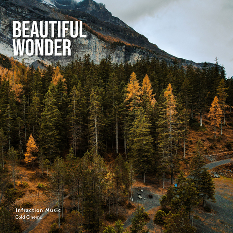 Beautiful Wonder ft. Cold Cinema | Boomplay Music