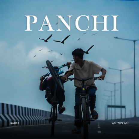 Panchi ft. Ashwin Ash | Boomplay Music